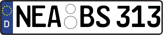NEA-BS313