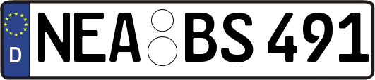 NEA-BS491
