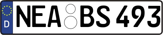 NEA-BS493