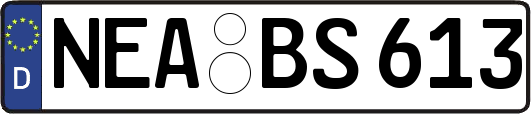 NEA-BS613