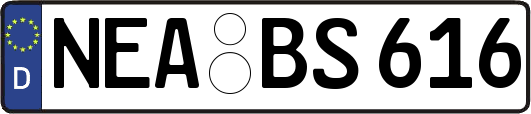 NEA-BS616
