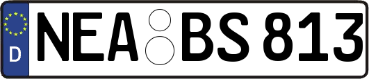 NEA-BS813