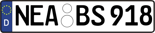 NEA-BS918