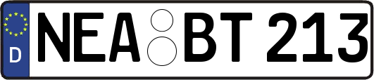 NEA-BT213