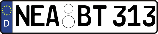 NEA-BT313