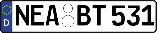 NEA-BT531