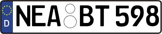 NEA-BT598