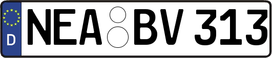 NEA-BV313