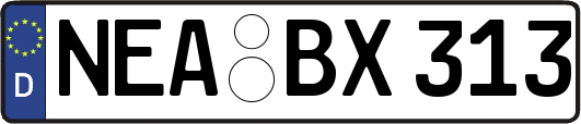NEA-BX313