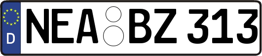 NEA-BZ313
