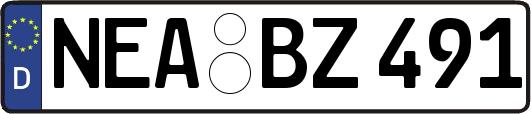 NEA-BZ491