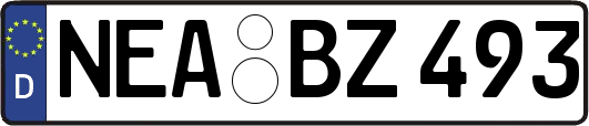 NEA-BZ493