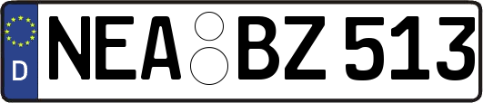 NEA-BZ513
