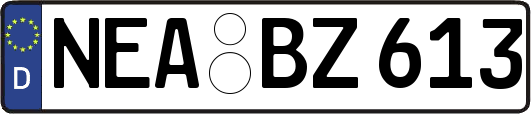 NEA-BZ613