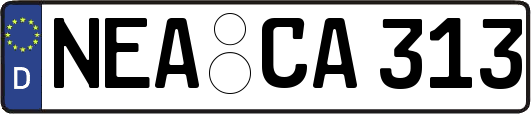 NEA-CA313