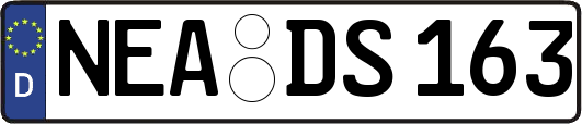 NEA-DS163