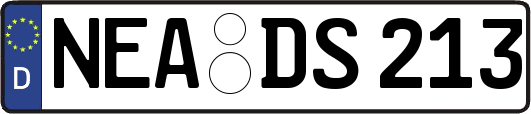 NEA-DS213