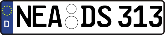 NEA-DS313