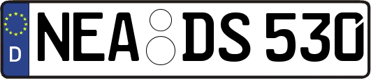 NEA-DS530