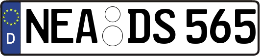 NEA-DS565