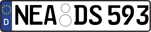 NEA-DS593
