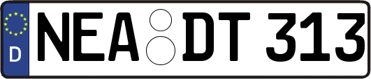 NEA-DT313