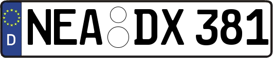 NEA-DX381