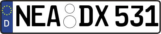 NEA-DX531