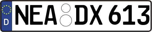 NEA-DX613