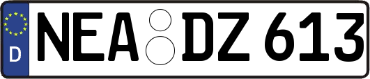 NEA-DZ613