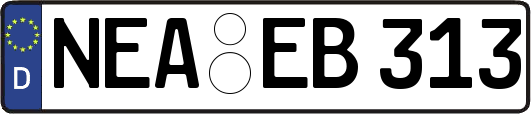 NEA-EB313