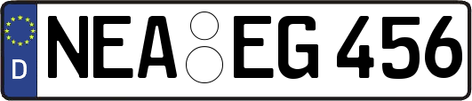 NEA-EG456
