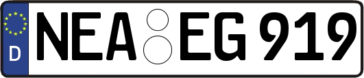 NEA-EG919