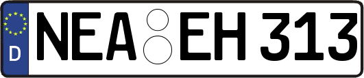 NEA-EH313