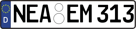 NEA-EM313