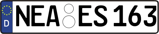 NEA-ES163