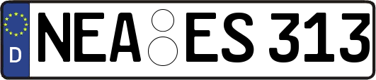 NEA-ES313