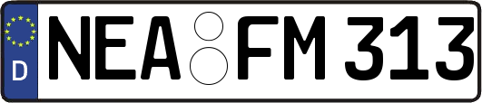 NEA-FM313