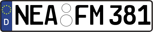 NEA-FM381