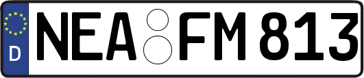 NEA-FM813