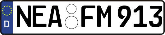 NEA-FM913