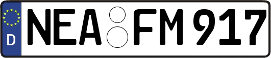 NEA-FM917