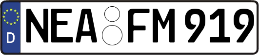 NEA-FM919
