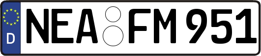 NEA-FM951