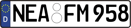 NEA-FM958