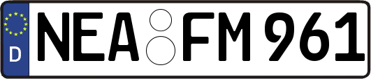 NEA-FM961