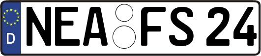 NEA-FS24