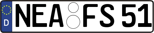 NEA-FS51
