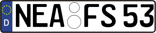 NEA-FS53
