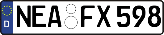 NEA-FX598